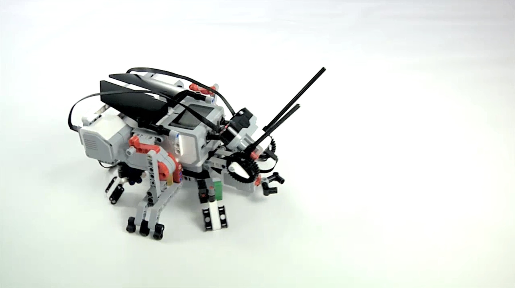 insect-thumbnail