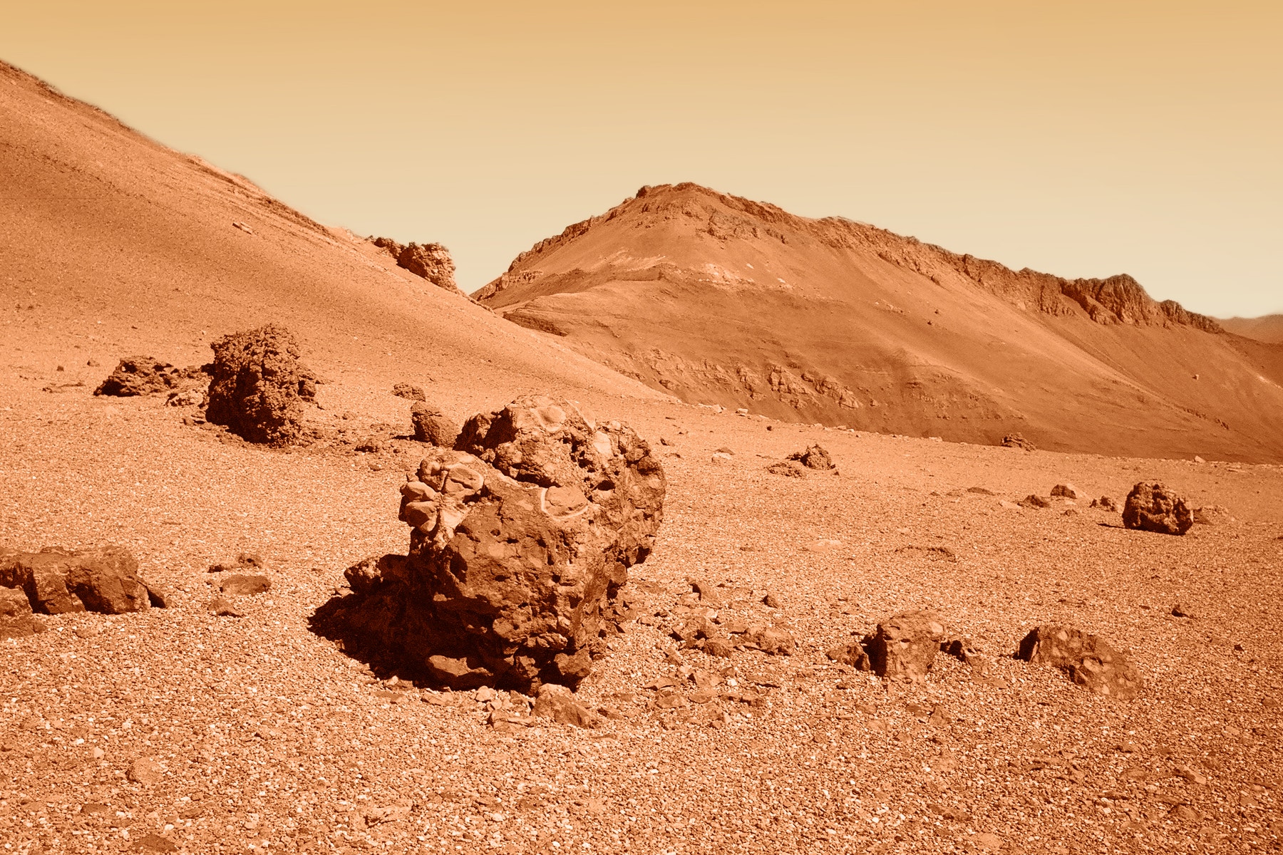 Return the Rock Samples