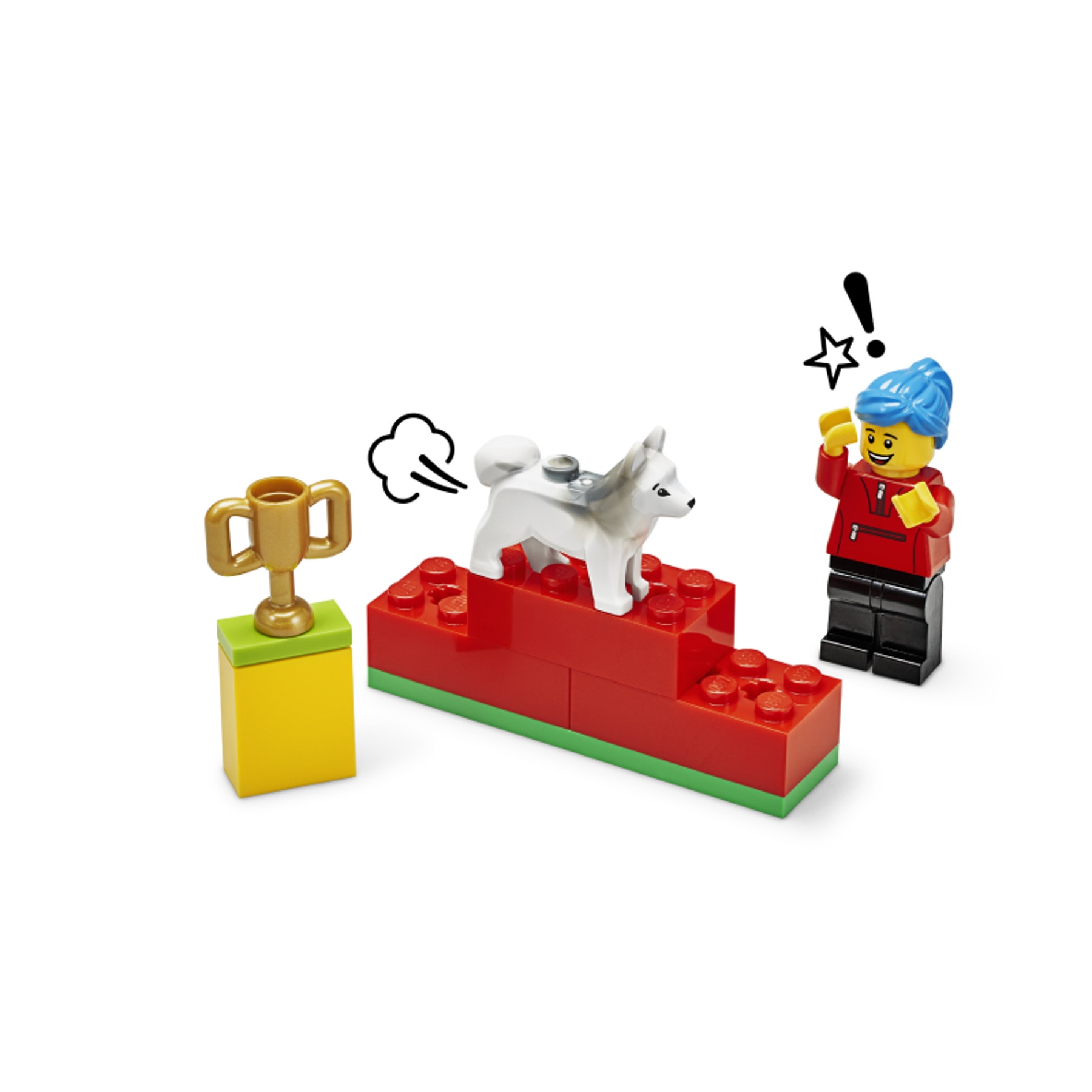 Parcours d’obstacles canin