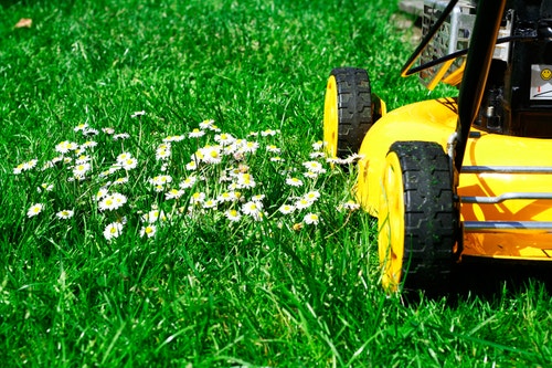 lawn-mower-connect
