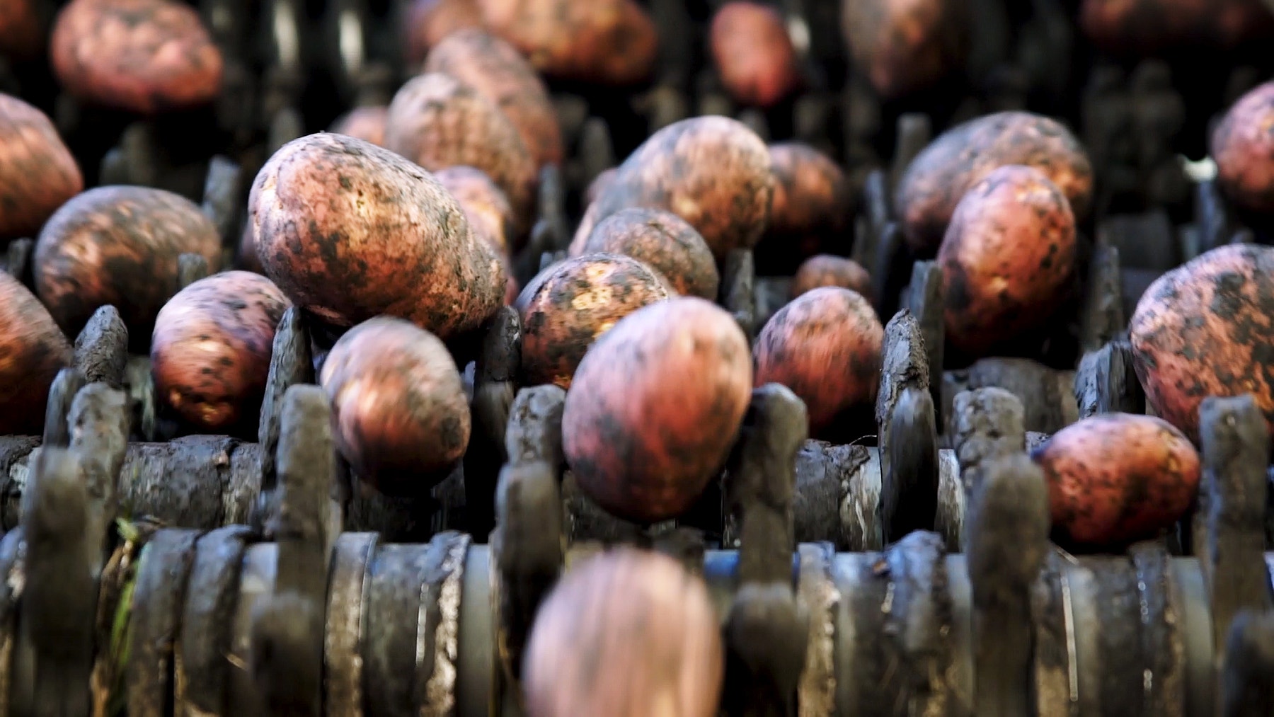 Engage-Sorting-Machine-Cover