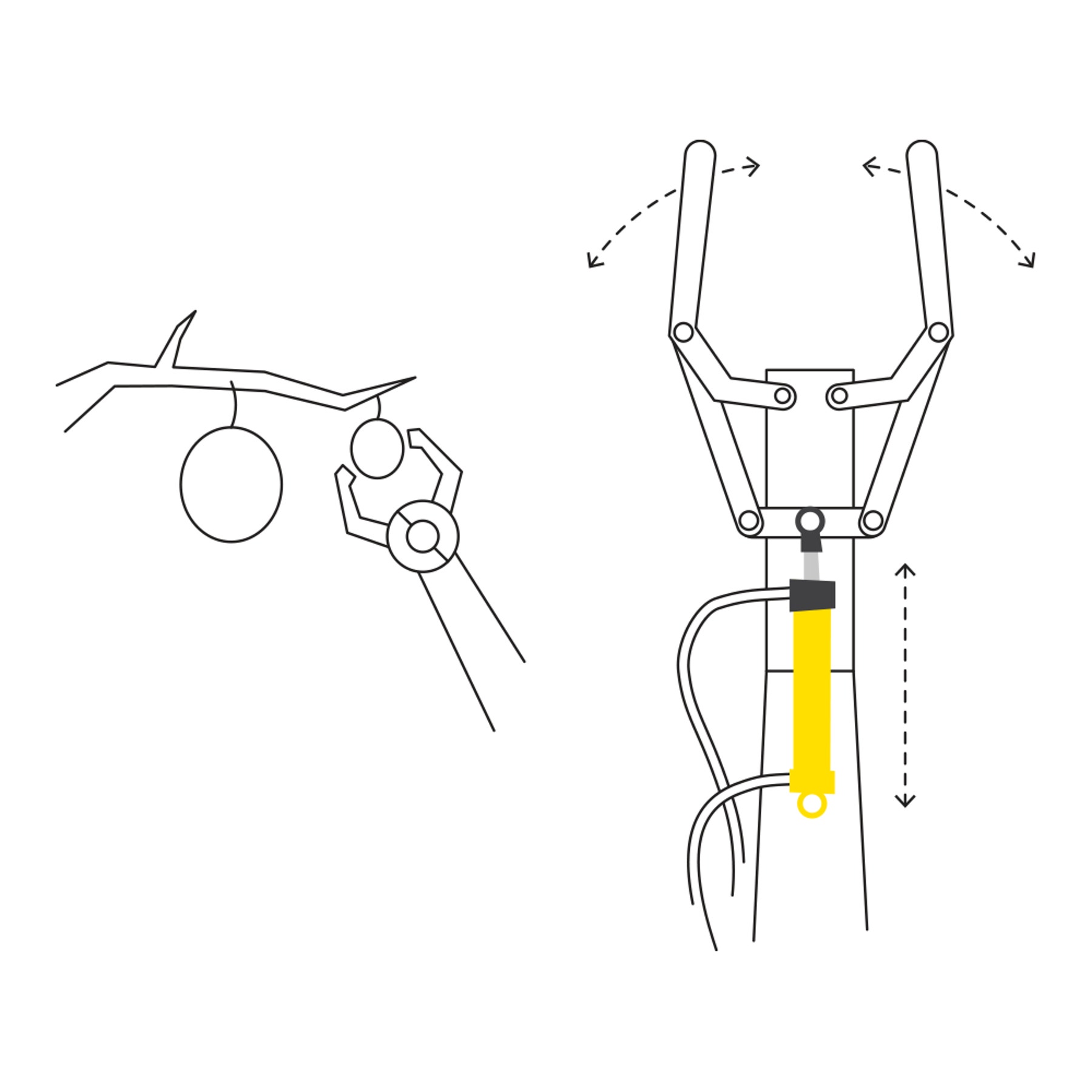 Bảo vệ nông sản