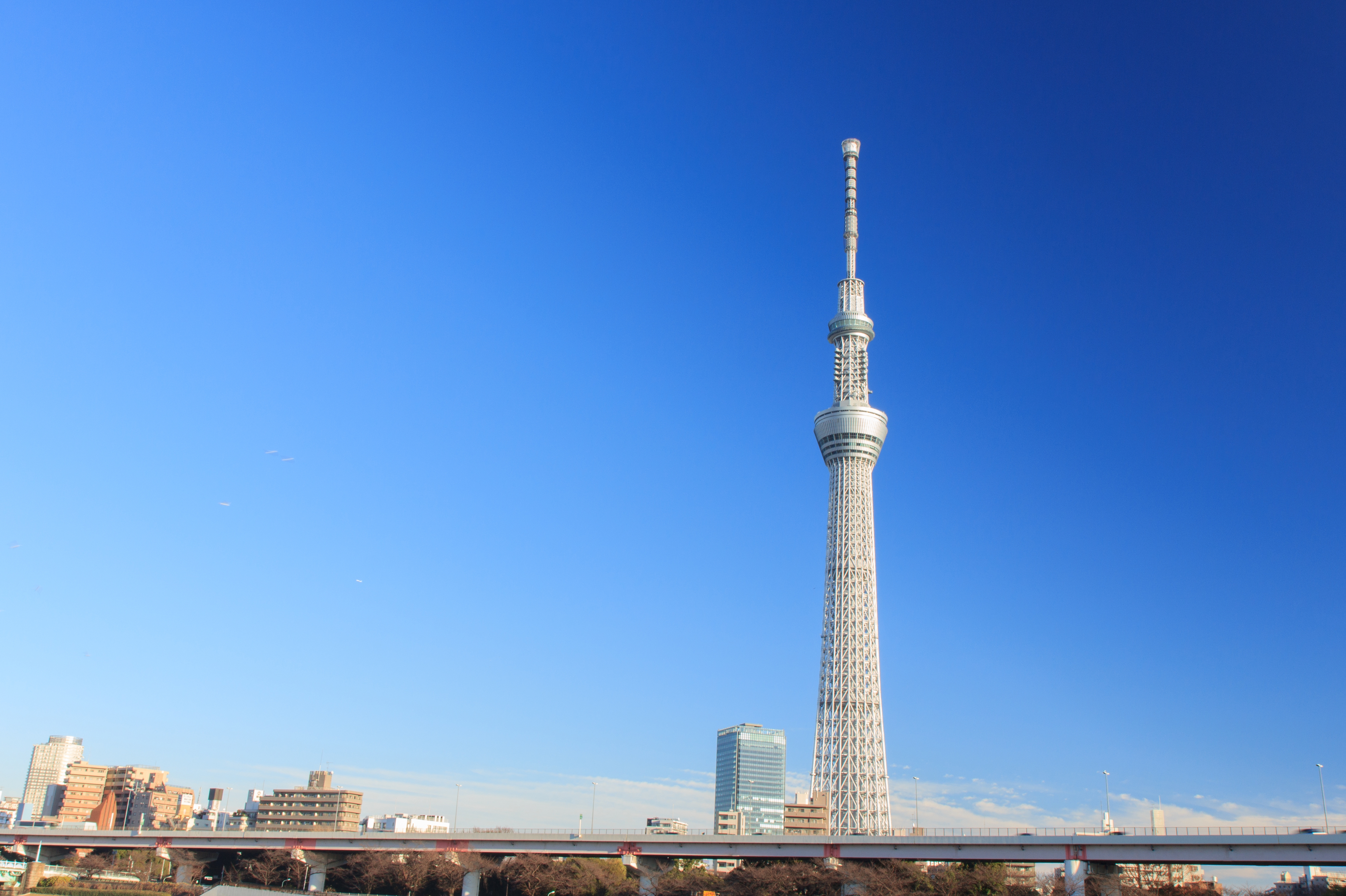 Sky tree. Tokyo Sky Tower. Tokyo Sky Tree Tower. ИК 