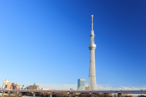 robust-structures-project-image