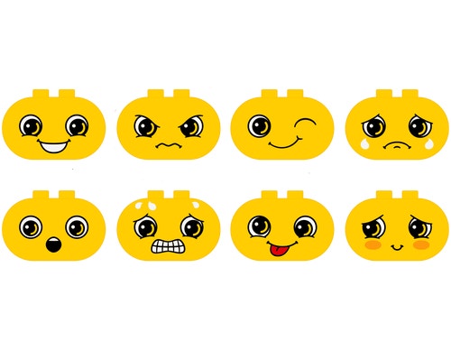 explore-the-face-bricks