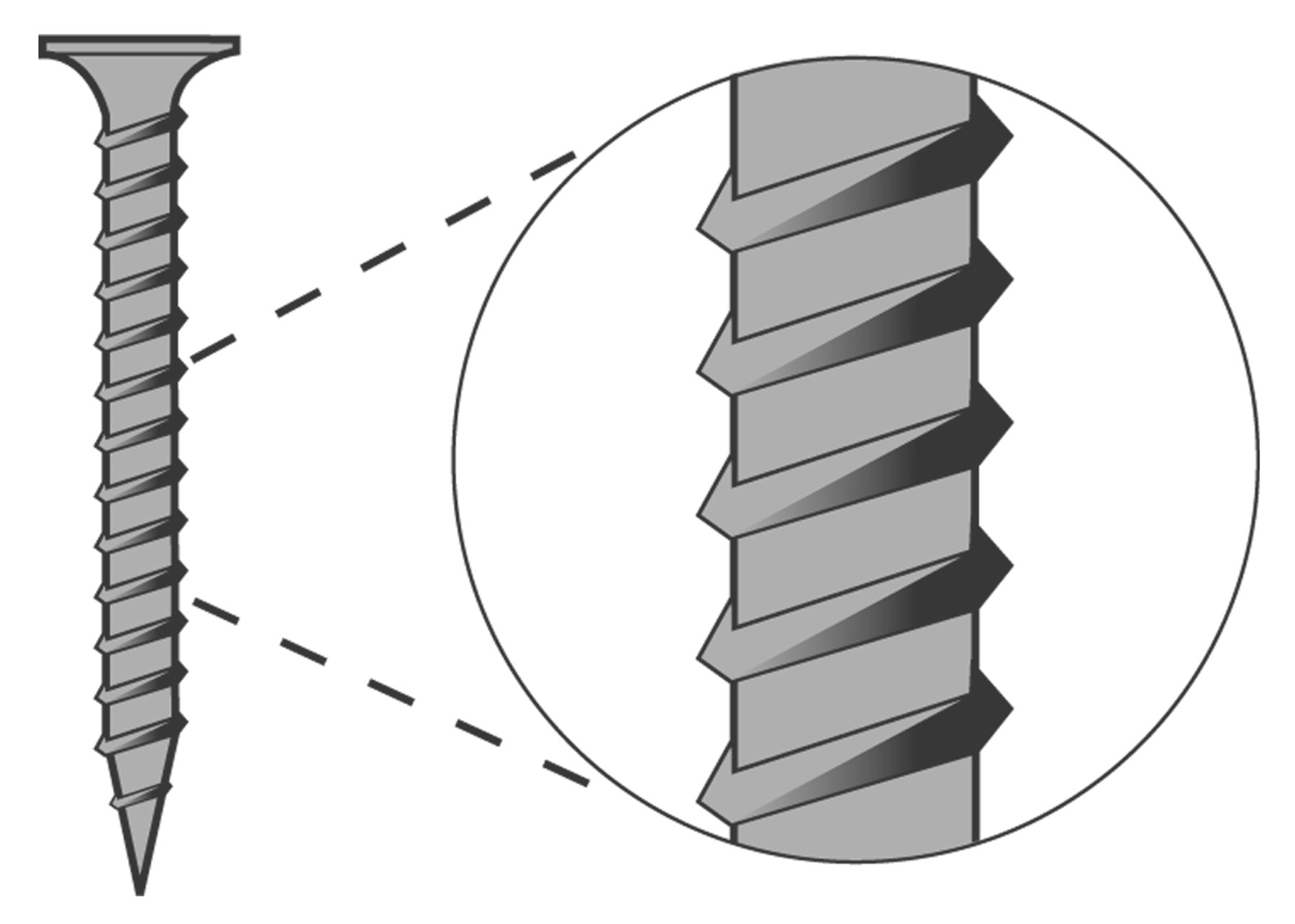 screw-model