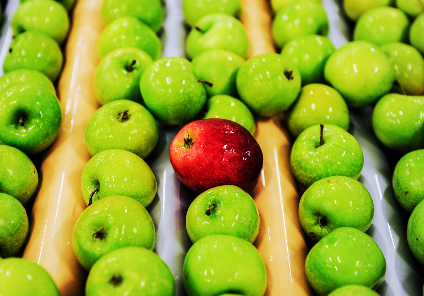 Make a Sorting Machine