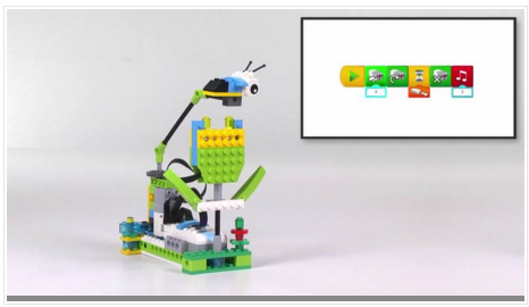 bee-and-flower-thumbnail